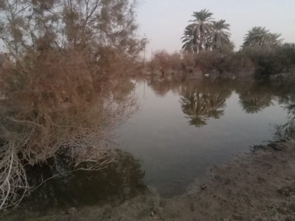 آج بھی سیلاب متاثرین ٹوٹے گھروں اور خیموں میں زندگی گزارنے پر مجبور ہیں، علامہ مقصود علی ڈومکی