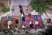 تصاویر/جشن میلاد حضرت زینب (س) و روز پرستار، در مدرسه علمیه مدرسه النبی (ص) بندرعباس