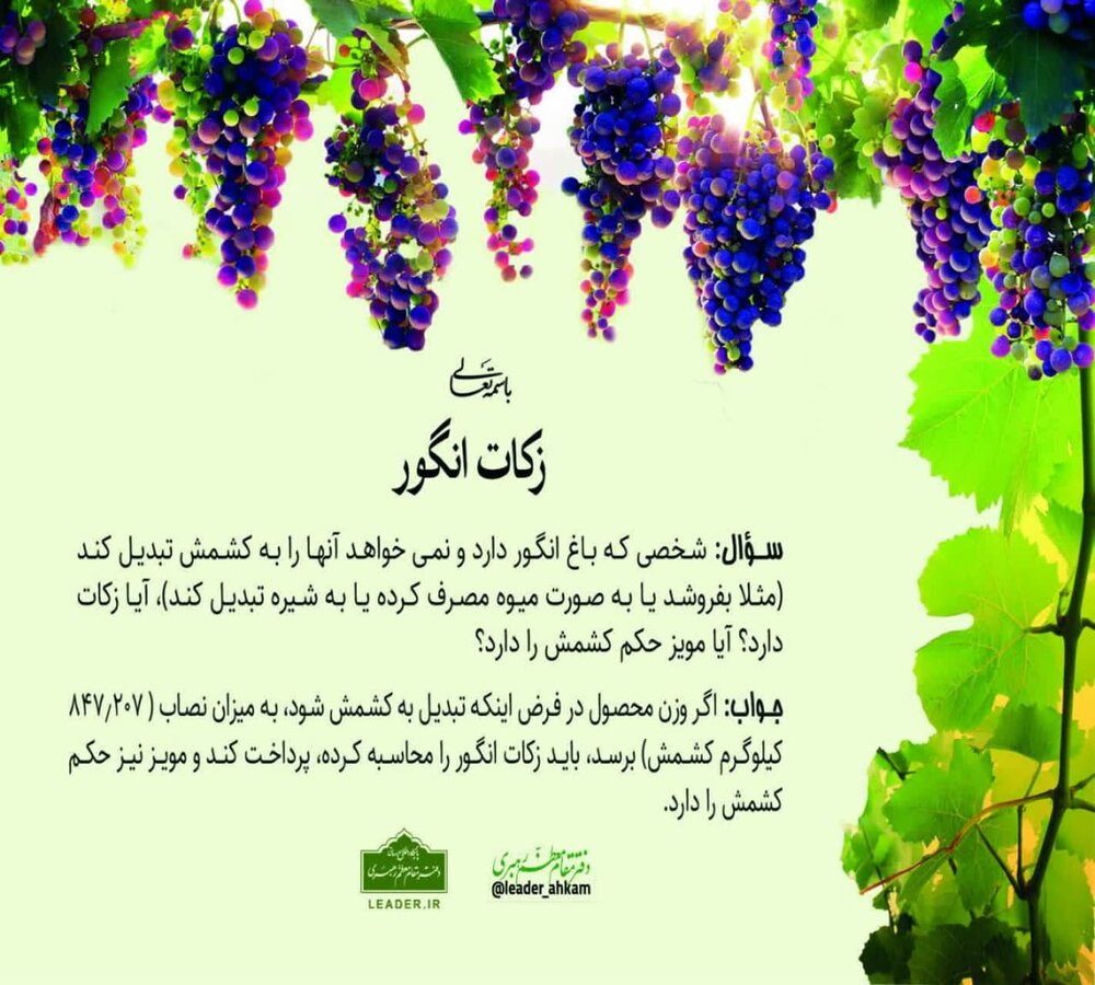 احکام شرعی | زکات انگور