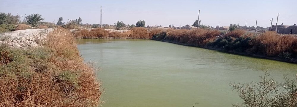 طلبهای که روستای محروم را قطب شیلات کرد + عکس