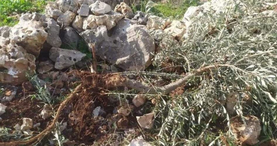 بابری مسجد کی شہادت کے دن ایک اور مسجد شہید