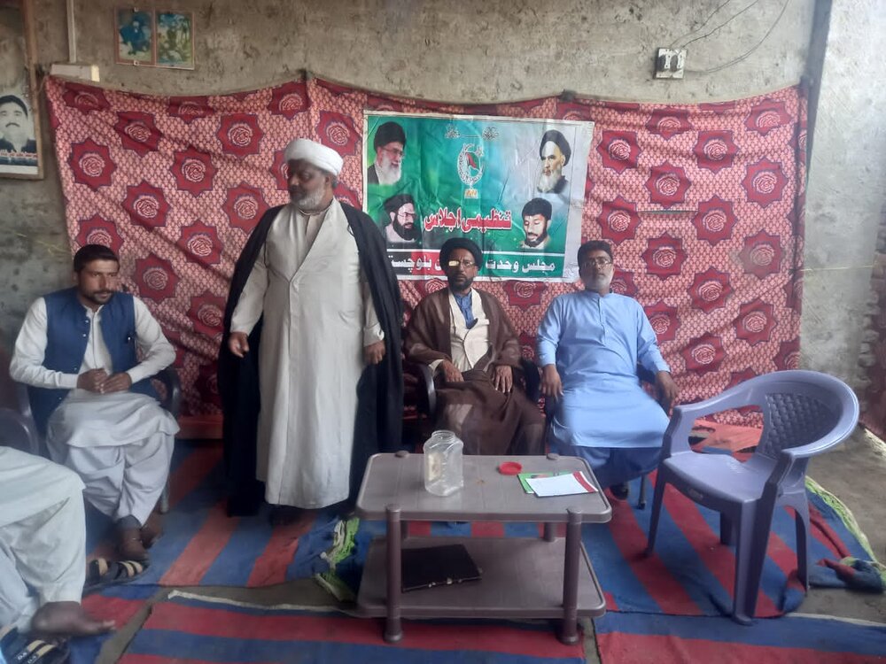 ایم ڈبلیو ایم ملت کے مسائل حل کرنے کیلئے ہمیشہ کوشاں ہے، علامہ ظفر شمسی