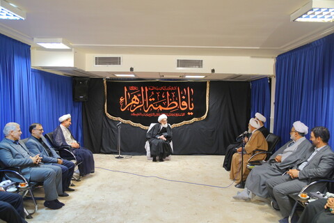 تصاویر / دیدار جمعی از نمایندگان مجلس شورای اسلامی با آیت الله العظمی نوری همدانی