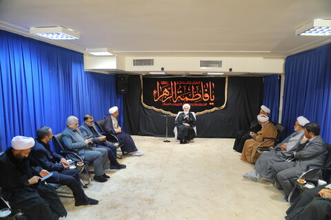 تصاویر / دیدار جمعی از نمایندگان مجلس شورای اسلامی با آیت الله العظمی نوری همدانی