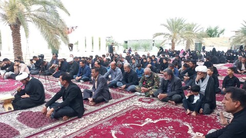 تصاویر/ مراسم پیاده روی و اجتماع  بزرگ فاطمیون شهر آبدان