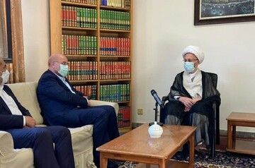 رئیس مجلس با آیت الله العظمی سبحانی دیدار کرد