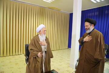تصاویر/ دیدار نماینده ولی فقیه در حج و زیارت با آیت‌الله العظمی جوادی آملی