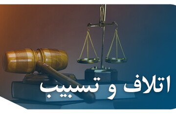 مقاله | قاعده تسبیب و بررسی اغتشاشات