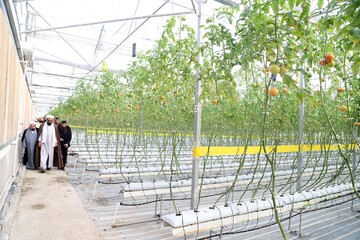 تصاویر / بازدید امام جمعه همدان از یک واحد تولیدی در فامنین