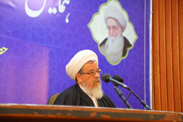 آیت‌الله العظمی صافی یکی از دلسوزان نظام اسلامی بودند