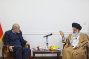 تصاویر / دیدار وزیر کشور با آیت‌الله حسینی بوشهری