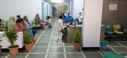 حیدر آباد؛ جعفریہ اسپتال میں مفت طبی کیمپ
