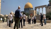 مسجد الاقصی پر اسرائیل کا حملہ وحشیانہ اقدام ہے