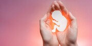 بیانیه رهبران ادیان در اسپانیا درباره سقط جنین و حمایت از جان انسان‌ها