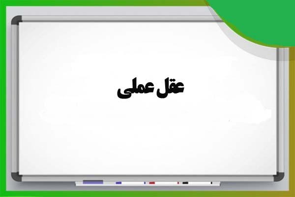 عقل عملی انسان را به همه جانبه نگری می رساند