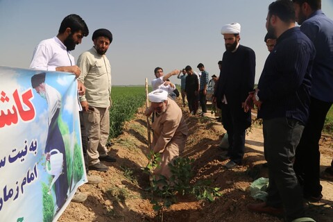 تصاویر/ کاشت ۳۶٠ نهال مثمر توسط طلاب و اساتید باغملک