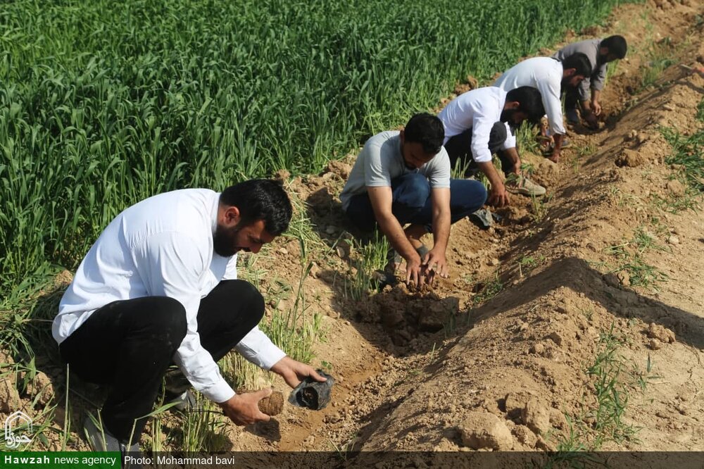 کاشت ۳۶٠ نهال مثمر توسط طلاب و اساتید اندیمشک +عکس