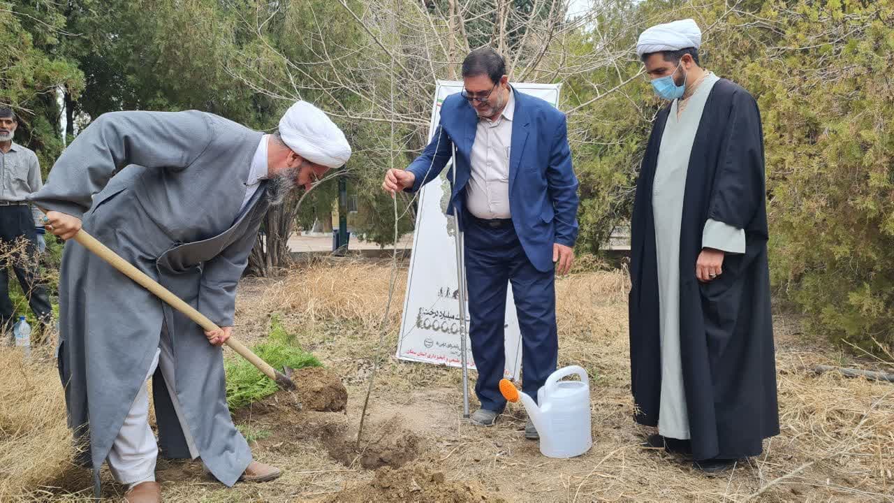 کاشت نهال مثمر توسط نماینده ولی فقیه در استان سمنان