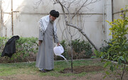 Photo/ Imam Khamenei Planted Tree Saplings on National Tree Planting Day