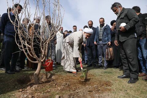 تصاویر /کاشت نهال در روز درختکاری توسط نماینده ولی فقیه در استان قزوین