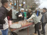 تصاویر/ جشن نیمه شعبان در شهرستان نقده