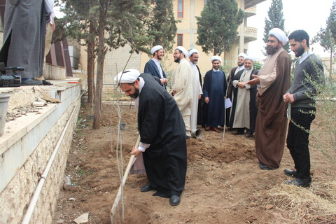 تصاویر/ مراسم درختکاری در مرکز مدیریت حوزه علمیه قزوین