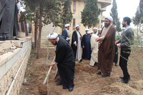 تصاویر/ مراسم درختکاری در مرکز مدیریت حوزه علمیه قزوین