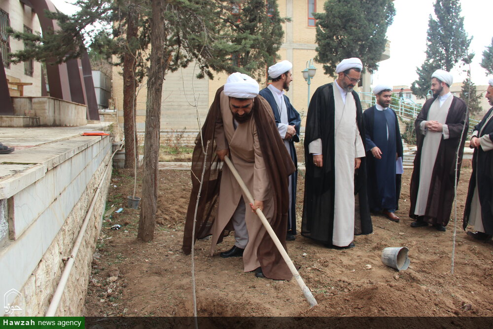 کاشت نهال در محوطه ساختمان مدیریت حوزه علمیه قزوین + عکس