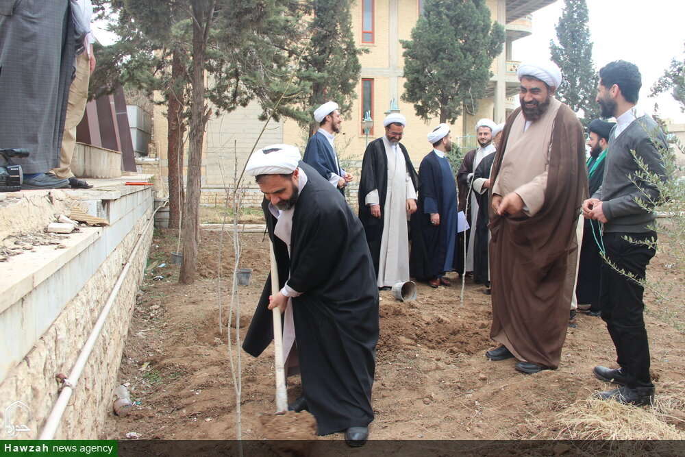 کاشت نهال در محوطه ساختمان مدیریت حوزه علمیه قزوین + عکس