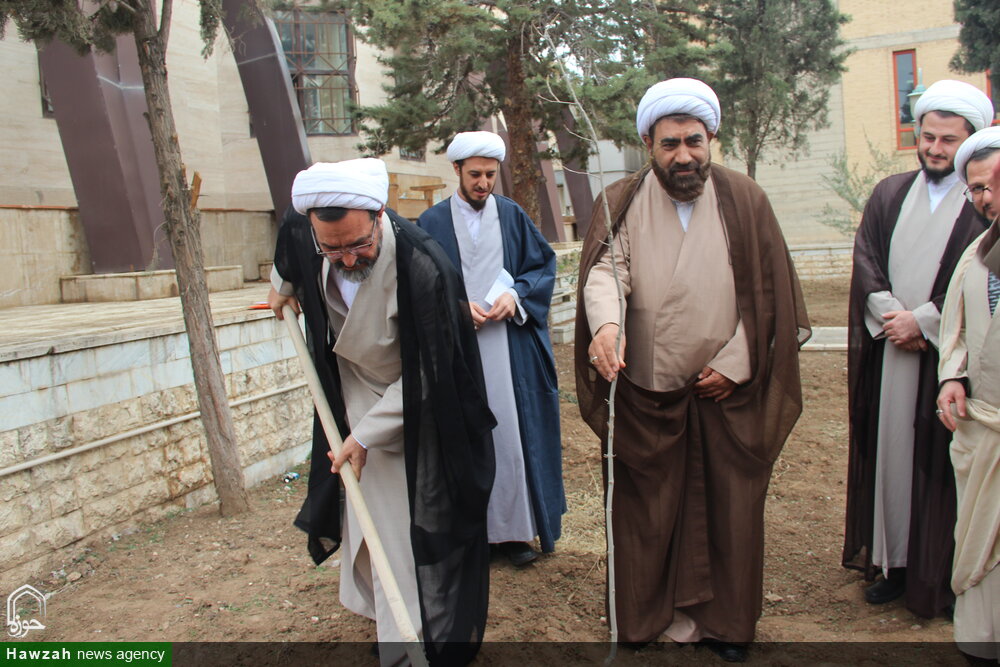 کاشت نهال در محوطه ساختمان مدیریت حوزه علمیه قزوین + عکس