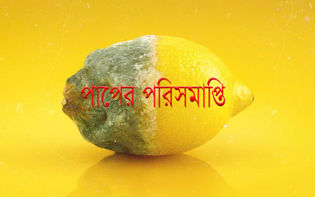 পাপের পরিসমাপ্তি