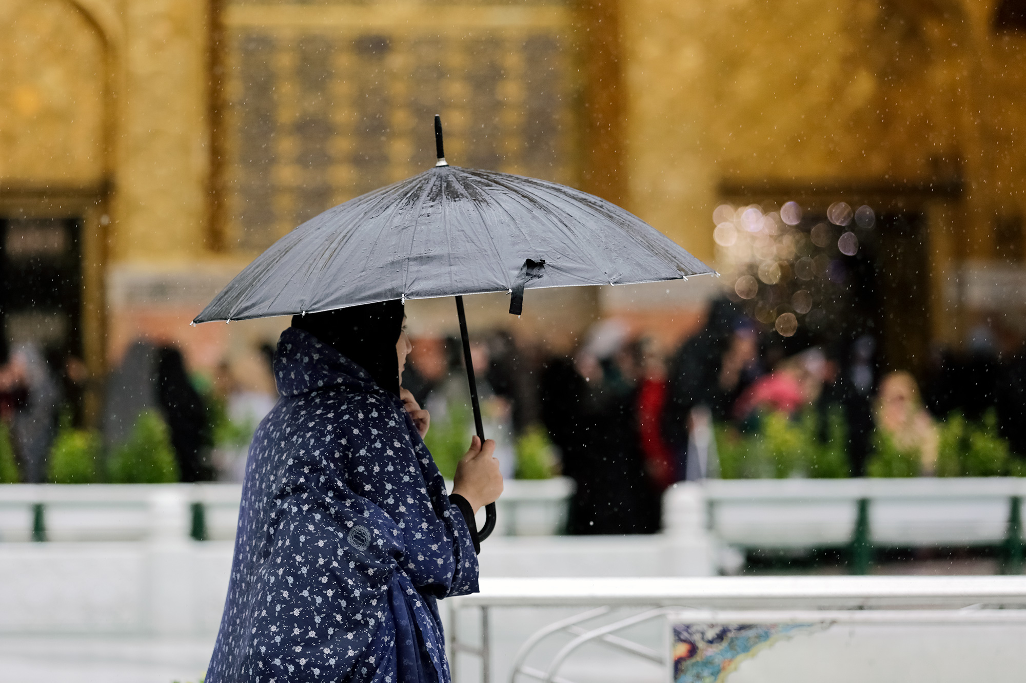 Photo/ A Rainy Day at Imam Reza Holy Shrine