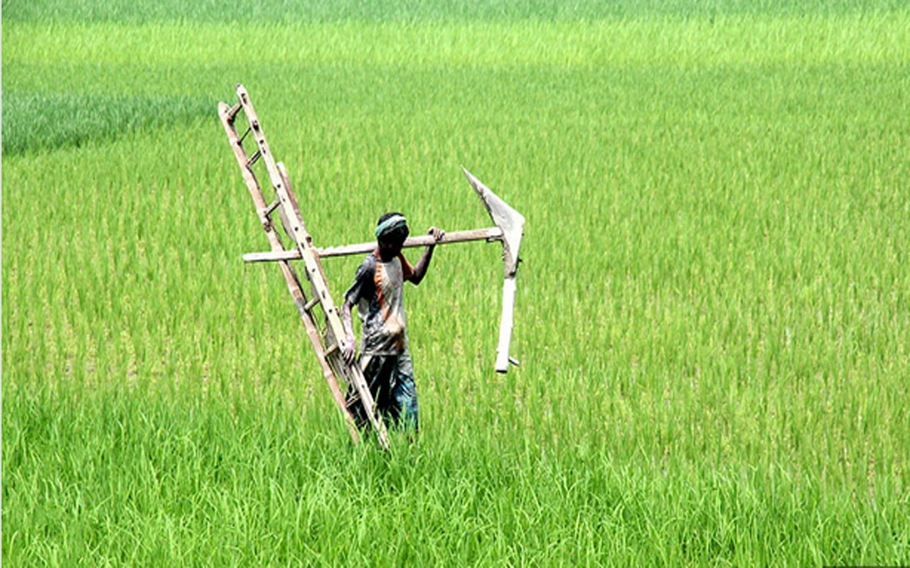 কৃষক শ্রমিকরাই দেশের প্রকৃত বন্ধু, কথিত শিক্ষিতরাই দেশকে বিপদে ফেলছে