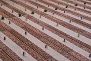 توزیع ۲۴۰ هزار وعده غذایی در طرح بزرگ «افطار» استان فارس
