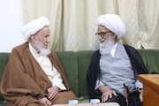 आयतुल्लाह बशीर हुसैन नजफ़ी की आयतुल्लाह सिस्तानी और आयतुल्लाह इस्हाक़ फय्याज़ से मुलाकात/फोटो