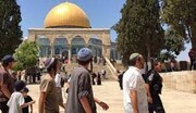 استمرار اقتحامات الاحتلال للمسجد الأقصى