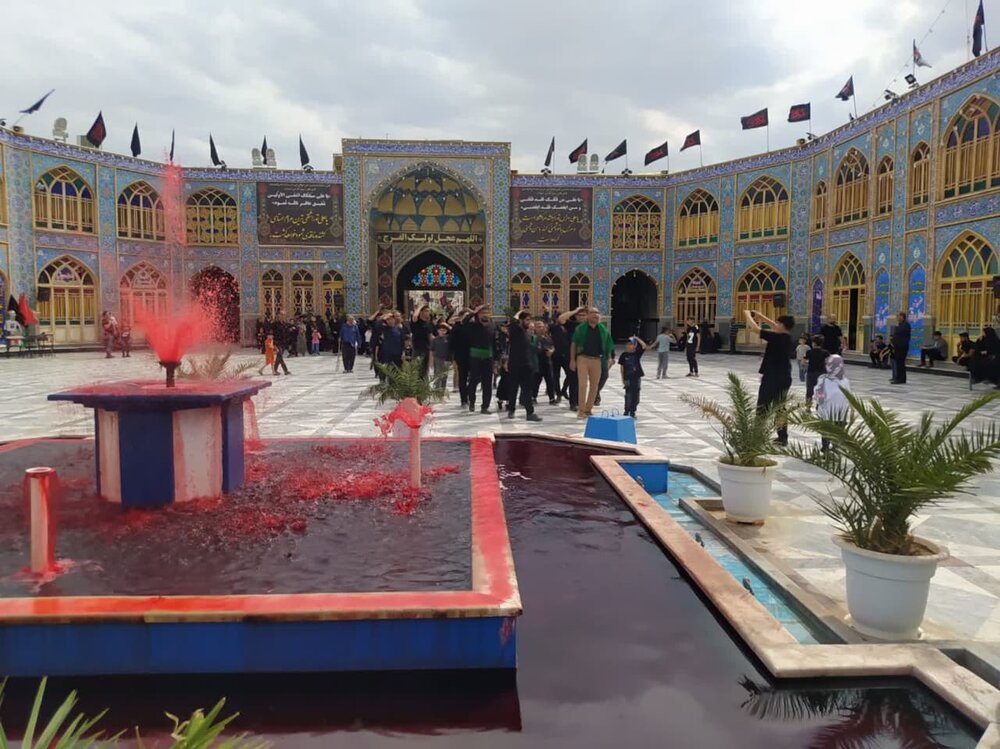 اجرای سوگواره سنتی کاشانیها در حرم محمد هلال بن علی(ع) + عکس