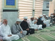 تصاویر/ نشست وحدت و مقاومت با حضور علمای شیعه و سنت در بوشهر