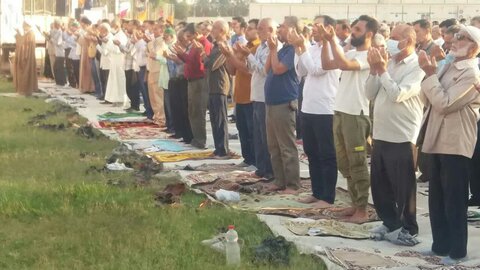 تصاویر/ نمازجمعه باشکوه عید فطر در برازجان