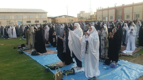 تصاویر/ نمازجمعه باشکوه عید فطر در برازجان