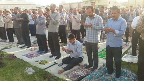 تصاویر/ نمازجمعه باشکوه عید فطر در برازجان