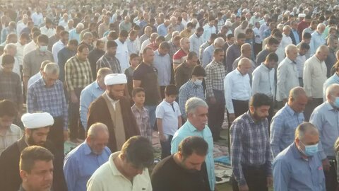 تصاویر/ نمازجمعه باشکوه عید فطر در برازجان