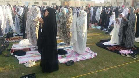 تصاویر/ نمازجمعه باشکوه عید فطر در برازجان