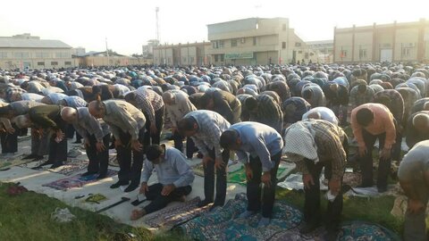 تصاویر/ نمازجمعه باشکوه عید فطر در برازجان