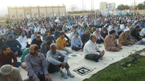 تصاویر/ نمازجمعه باشکوه عید فطر در برازجان