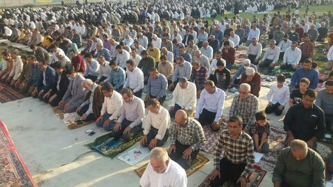 تصاویر/ نمازجمعه باشکوه عید فطر در برازجان