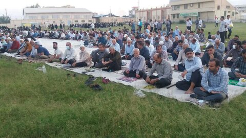 تصاویر/ نمازجمعه باشکوه عید فطر در برازجان