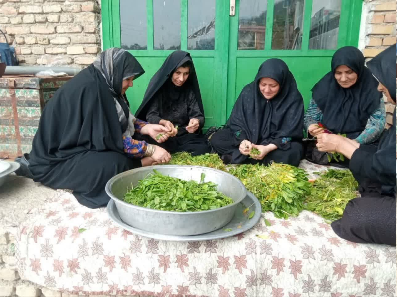 طرحی که موجب ارزآوری برای کشور از دل یک روستای کوچک میشود + عکس