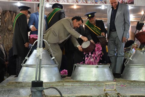 تصاویر: آغاز «بیستمین شکرانه گل محمدی» همراه با آیین سنتی گلاب گیری شهر نیاسر