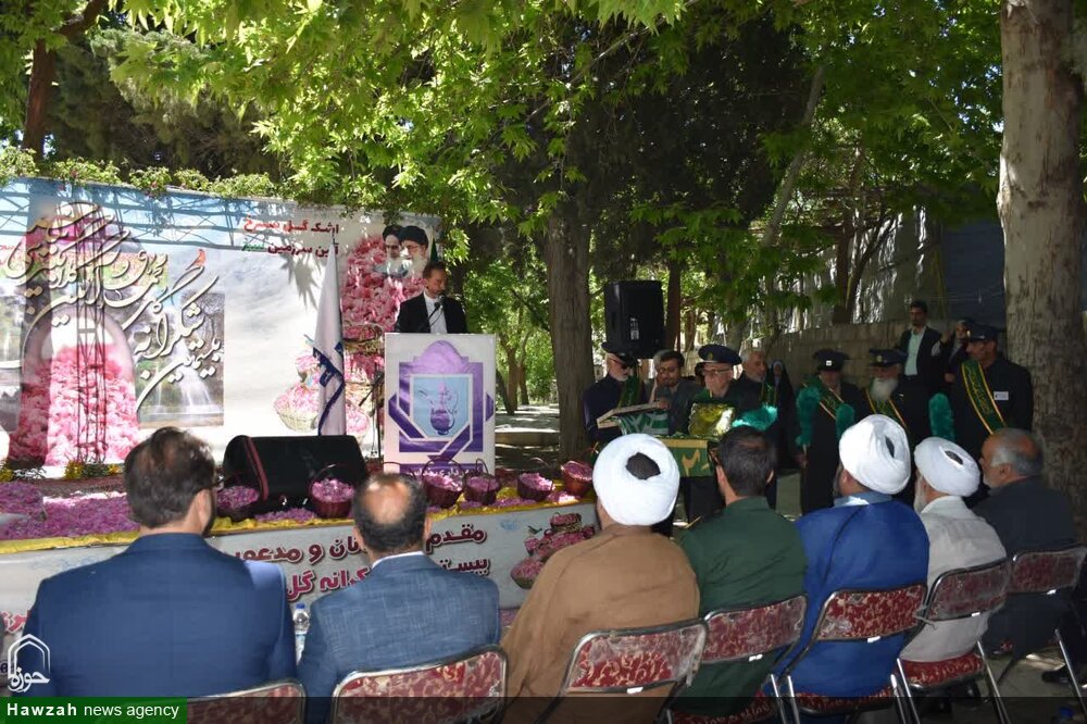 «بیستمین شکرانه گل محمدی» همراه با آیین سنتی گلاب گیری در نیاسر برگزار شد